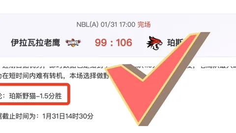 伯恩茅斯之旅获芒特好评：期待感受非欧战赛事的激情夜晚