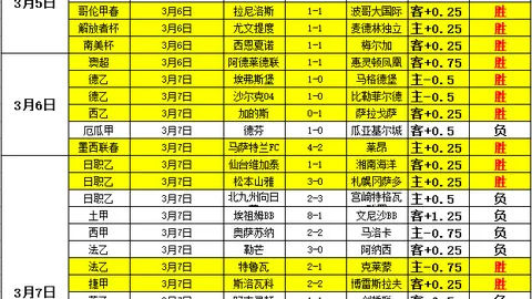 安德里希直言：球队整体低迷，各环节均落后，提前离场几成定局。